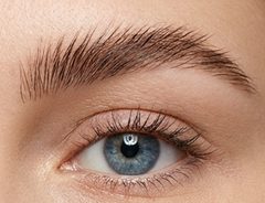 Fluffy Brows